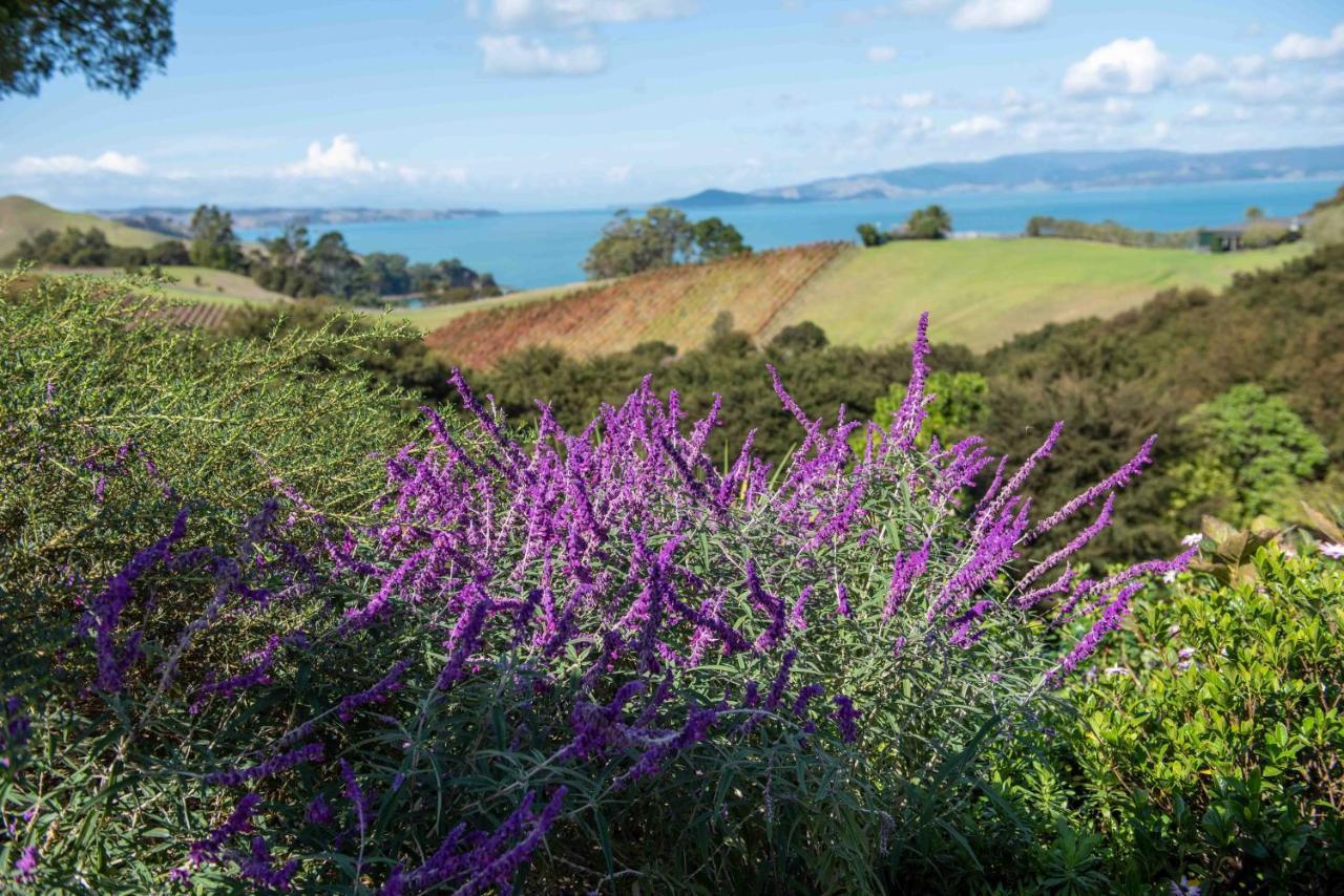 Waiheke Luxury Blue And Green Rooms Ostend Ngoại thất bức ảnh